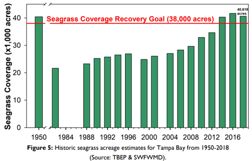 Historic seagrass acreage estimates for Tampa Bay from  1950 to 2018, showing 40,000 acres in 1950 then a drop to 20,000 acres in 1984. Acreage increases steadily over time until the total is back to 40,000 in 2018.