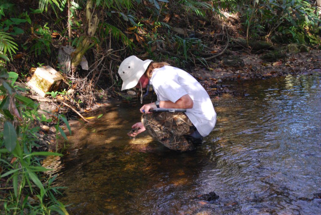 A Pinellas County employee checks the water quality of a local creek.