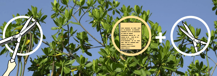 Mangrove trimming permit.