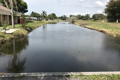 Pond 2 after improvements