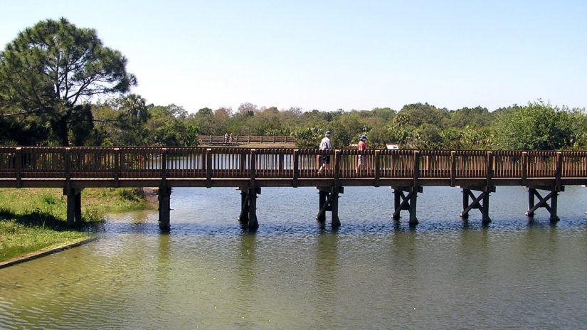 Bridge over Wall Springs