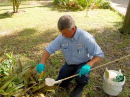 Mosquito Control sampling