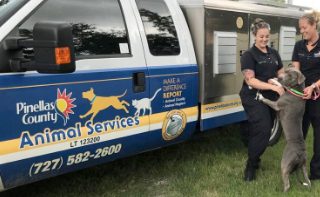 Animal Services workers with a dog standing next to their truck