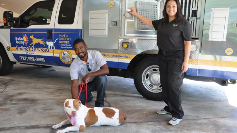 Pinellas County Animal Services Code Enforcement employees posing with a happy dog