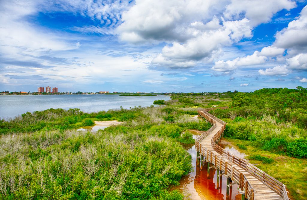 View of boardwalk from Boca Ceiga Park tower