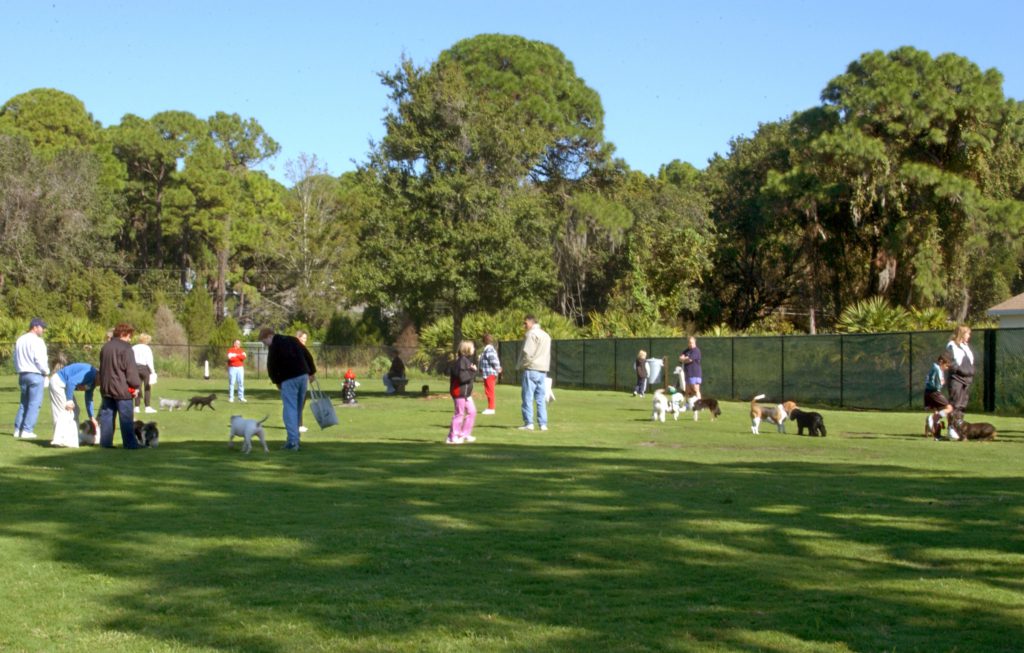 Boca Ciega dog park