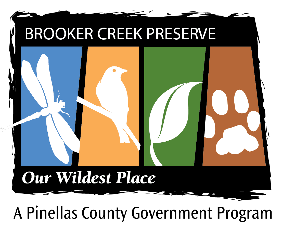 Brooker Creek Preserve Pinellas County