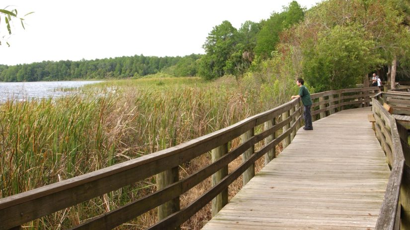 Board walk at John Chestnut Sr. Park