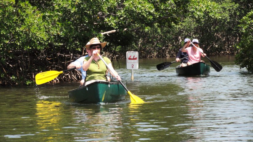 Weedon Island kayakers