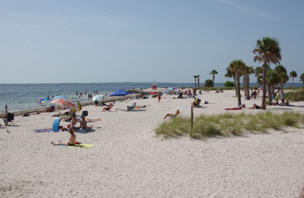 Fred Howard Park beach