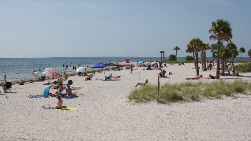 Fred Howard Park beach