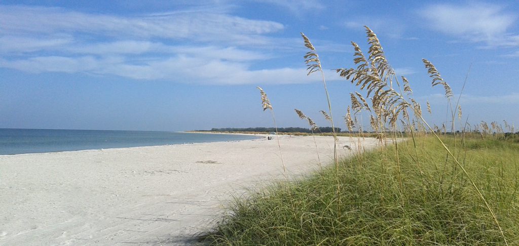 Beach at Fort De Soto Park beach