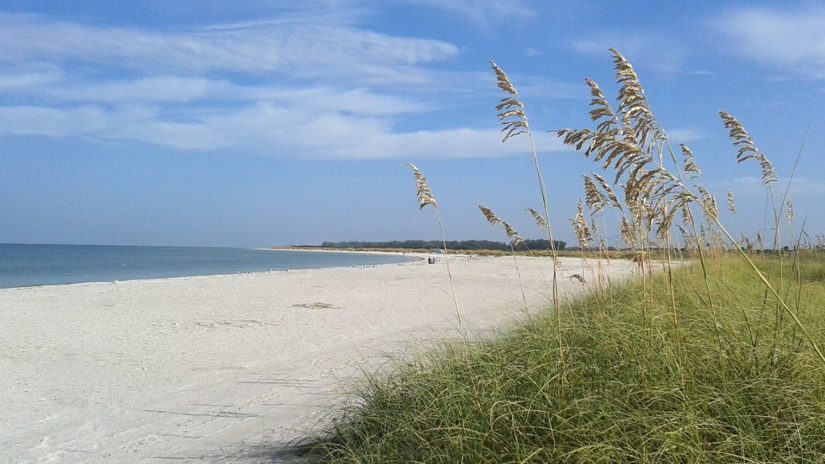 Beach at Fort De Soto Park beach