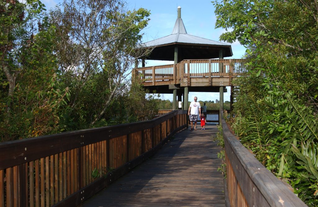 Sawgrass park boardwalk photo