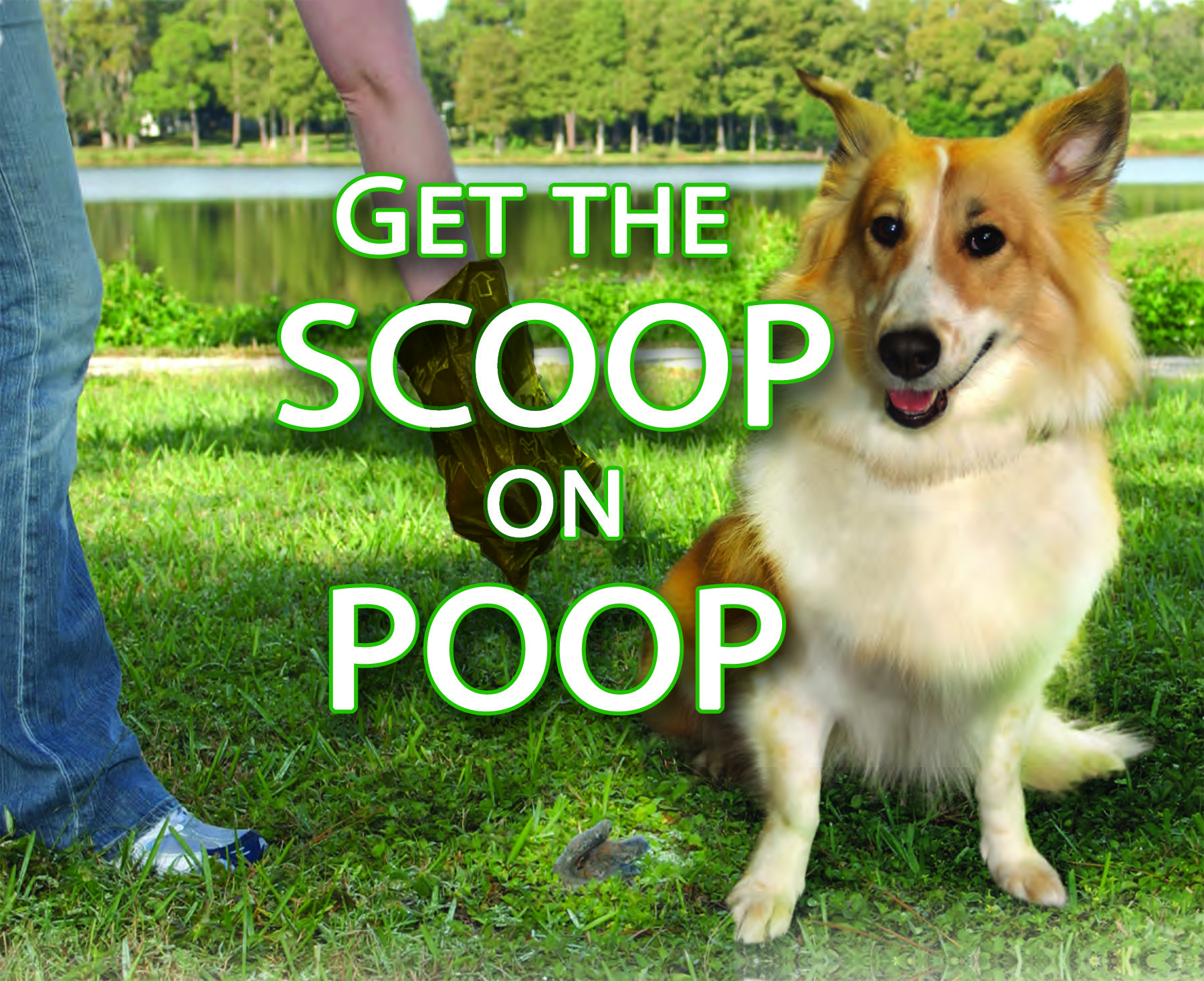 Get the scoop on poop