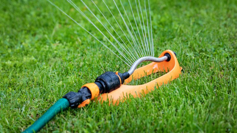 lawn watering - water sprinkler working in green grass at home backyard