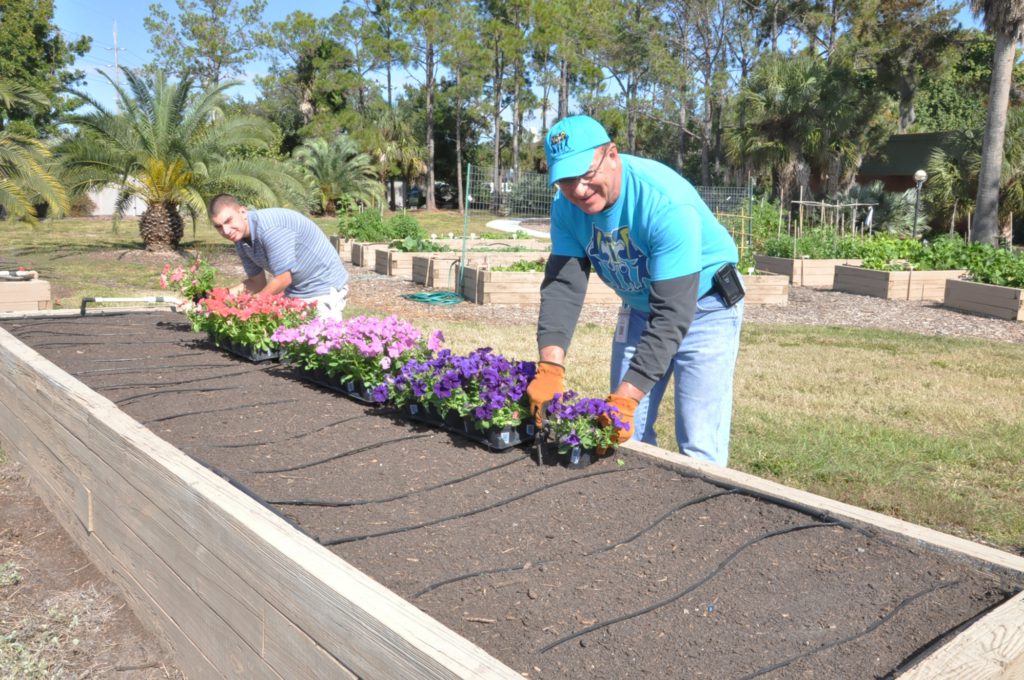 Volunteers planting flowers at Florida Botanical Gardens