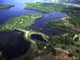 Wall Springs Park in Pinellas County