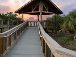 New addition to Pinellas County's Wall Springs park