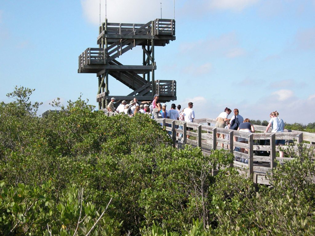 Weedon Wildlife Wonders Hike David Spencer WIP 8/16/2003 Education Program Observation Tower Mangroves