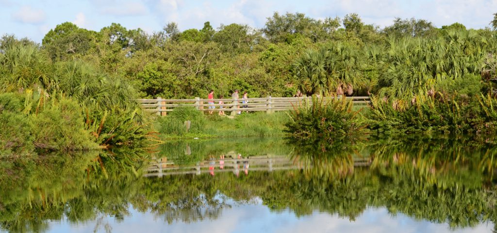 Family walking through the enchanted Wall Springs Park