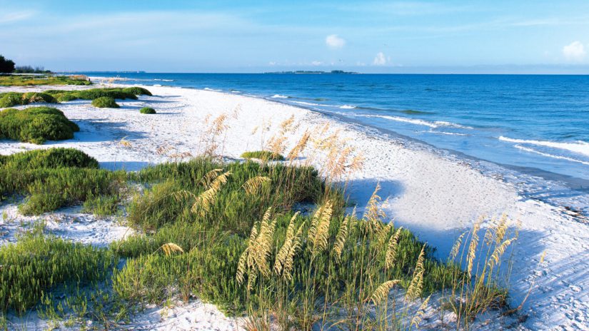 Fort De Soto beach and sea oats