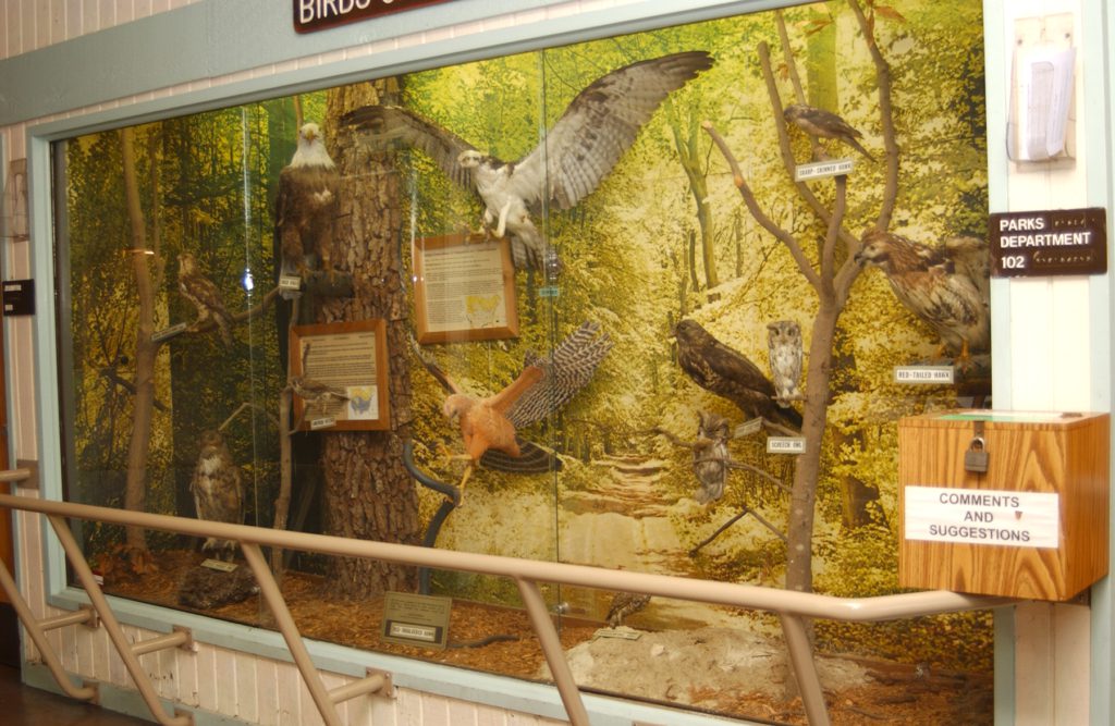 Lake Sawgrass Park education center a display of birds of prey