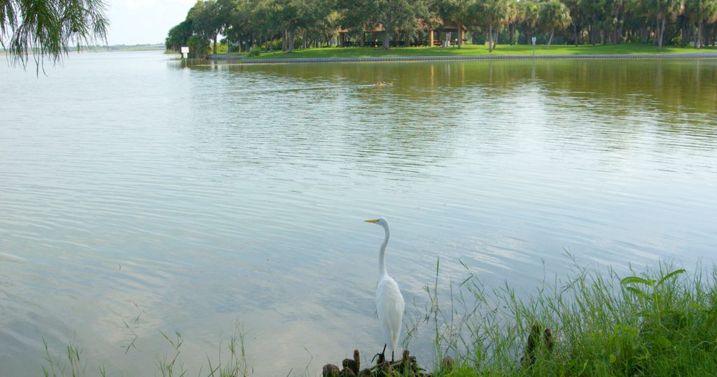 Lake Seminole, Pinellas County, Florida