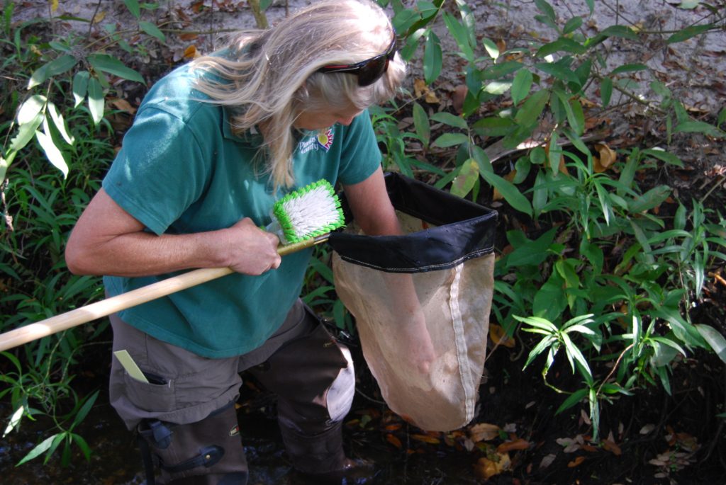 Pinellas County Environmental Management taking samples