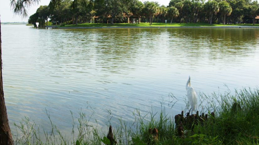 Lake Seminole Park, Pinellas County