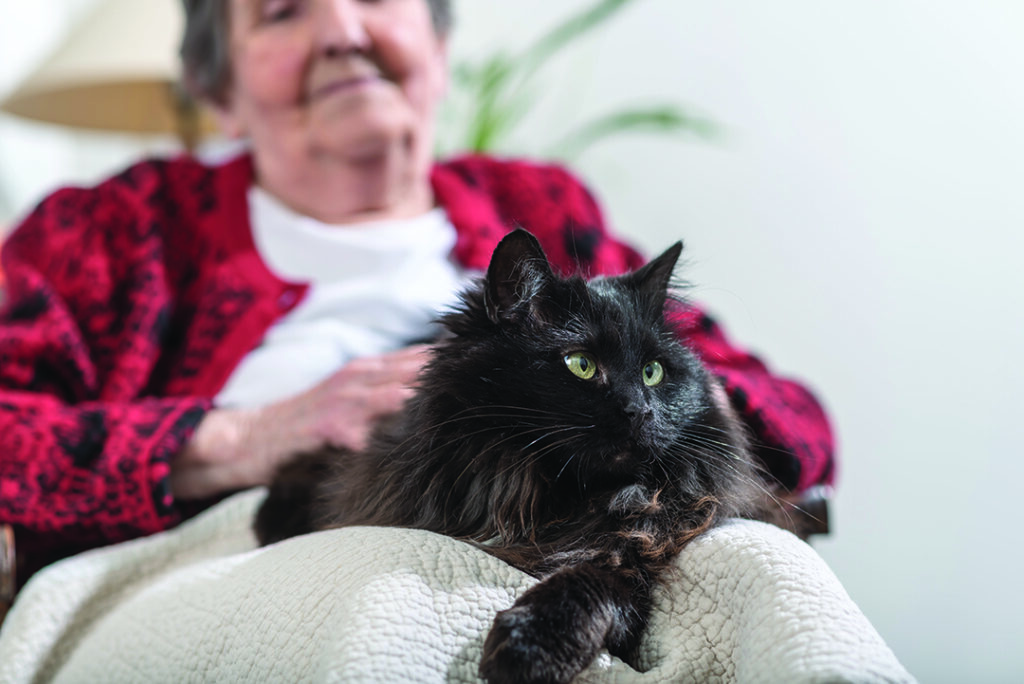 Elderly woman with her black cat