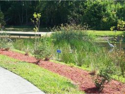 Environmental Management works with community to complete an Adopt-A-Pond project