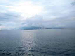 View at Ft De soto