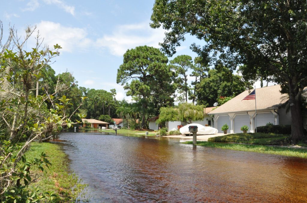 Flooding at Tarpon Woods