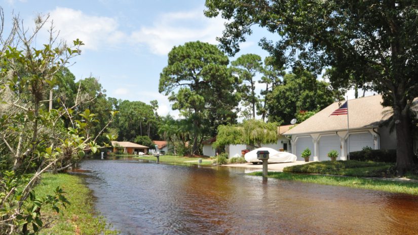 Photograph of flooding at Tarpon Woods