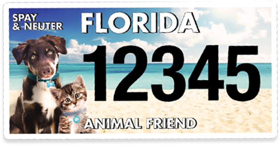 animal friend license plate