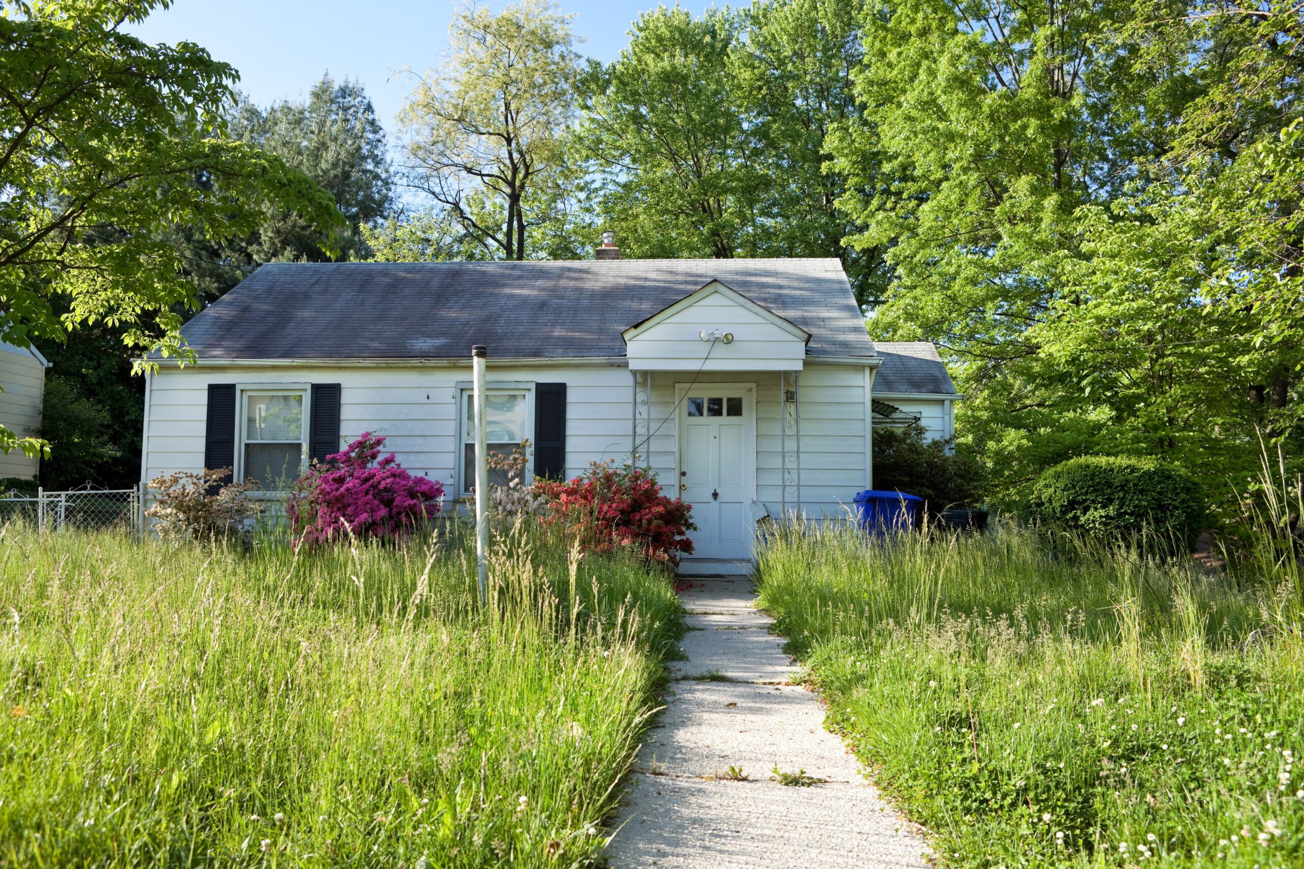 Front vew of unmowed lawn of an abandoned foreclosed Cape Cod style house in suburban Maryland, USA.