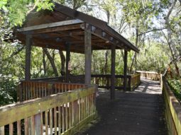 part of the boardwalk trail