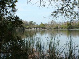 View of Boat Ramp