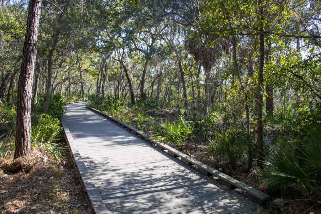 A beautiful trail at Pinellas County's Boca Ciega Millinium Park