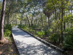 A beautiful trail at Pinellas County's Boca Ciega Millinium Park