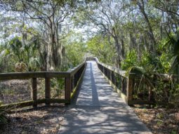 Amenities and highlighlights at Pinellas County's Boca Ciega Millinium Park