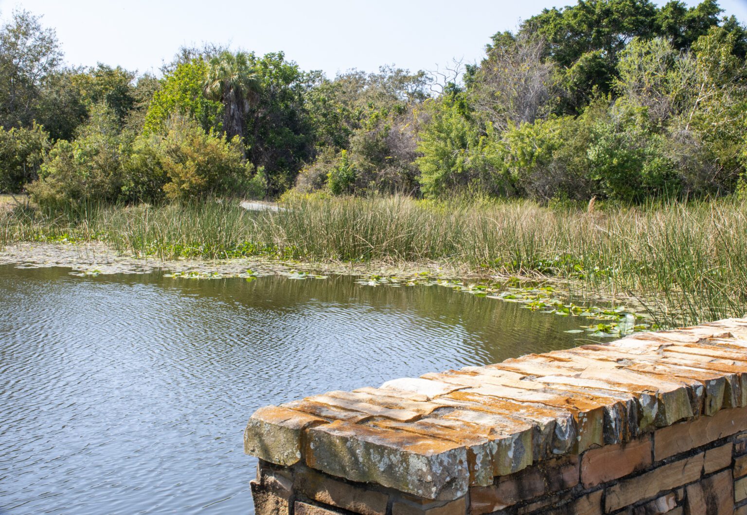 Boca Ciega Millennium Park Pinellas County