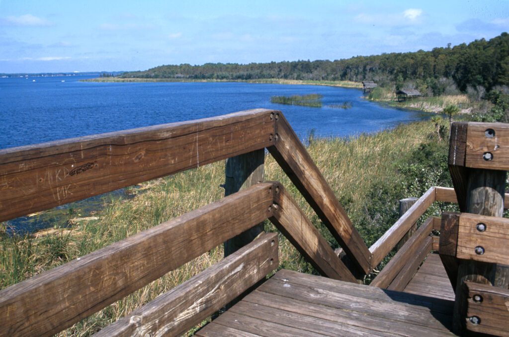 John Chesnet park boardwalk along Lake Tarpon