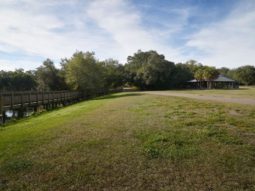 View of open field