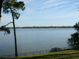 view from temple mound