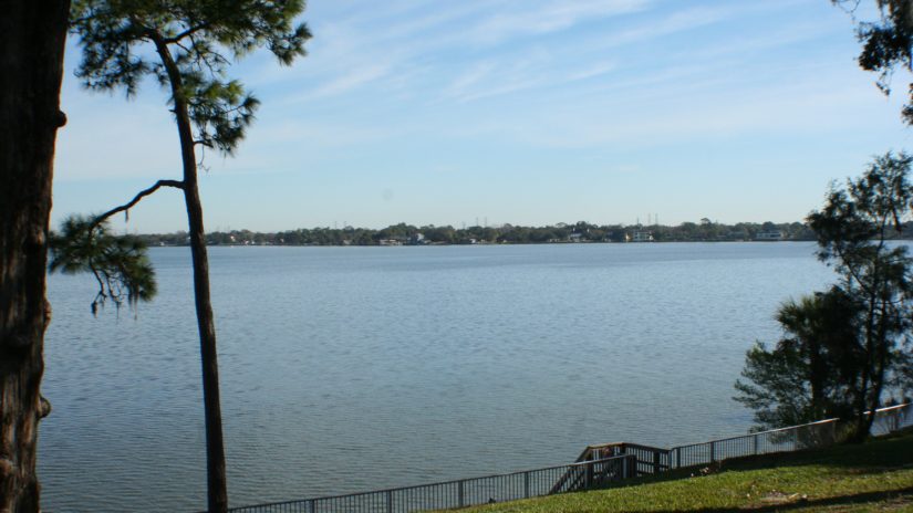 Tampa Bay Harbor in Tampa, FL, United States - harbor Reviews - Phone  Number 