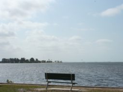 bench with view of water