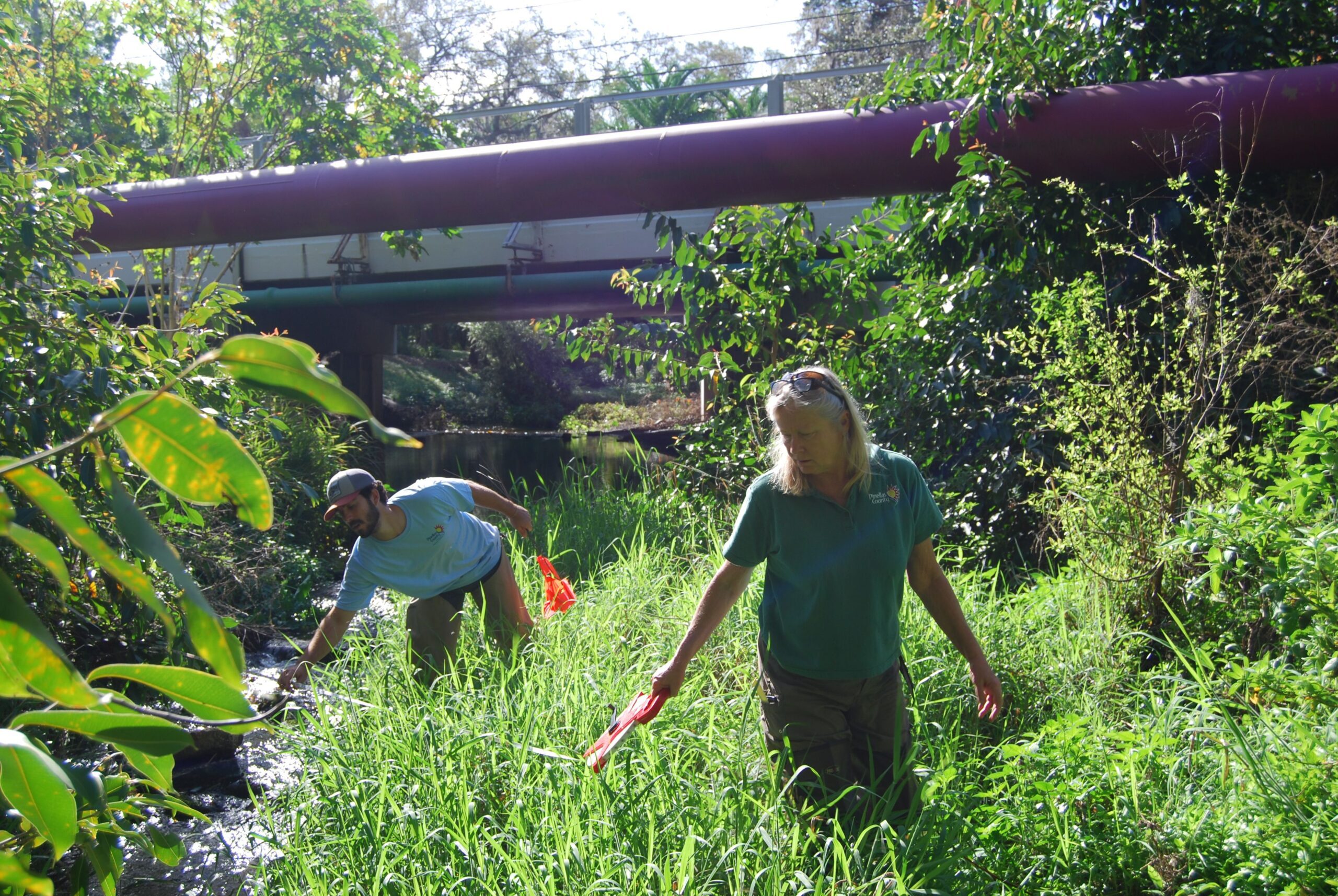 Woman and man walk through vegetation in canal