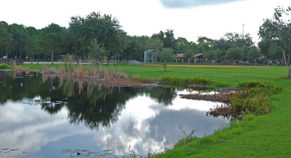 lake, cattails, and ball filed at Ridgecrest Park